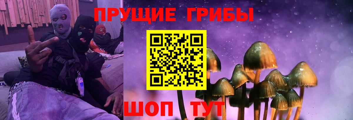 Псилоцибиновые грибы мухоморы  Вход с VPN  купить наркотики цена  Псилоцибиновые грибы ЛСД  Владикавказ 