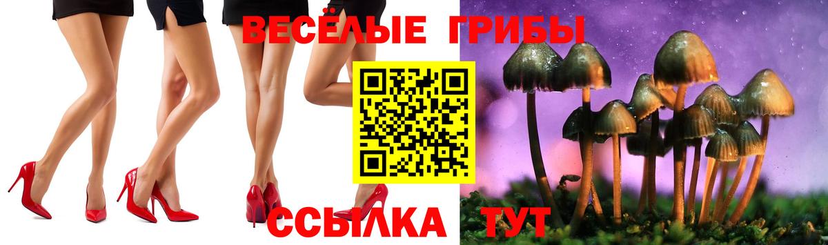 Псилоцибиновые грибы мухоморы Владикавказ